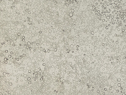 Yayoi Kusama, Dots accumulation, 1995. Courtesy of Ota Fine Arts