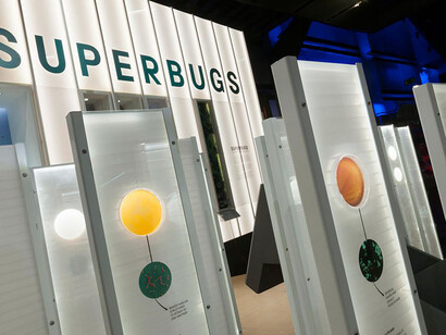 Superbugs. Courtesy of Science Museum