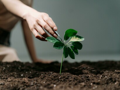 A person planting with both hands in the soil, connecting with nature and renewal