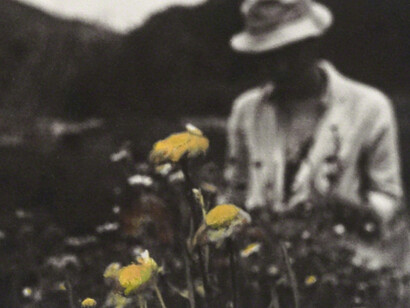 Happily Ever After II. Courtesy of Blindspot Gallery