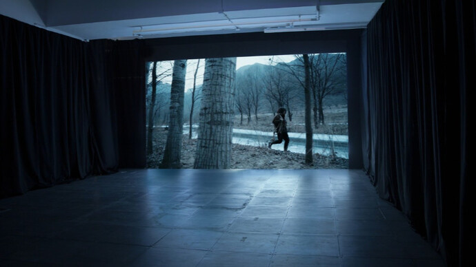 Diary of a Pioneer. Courtesy of de Sarthe Gallery