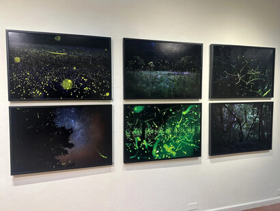 Kate Breakey and Samuel James, To the dark and the endless skies, exhibition view. Courtesy of Etherton Gallery