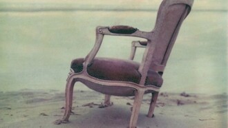La buona occasione