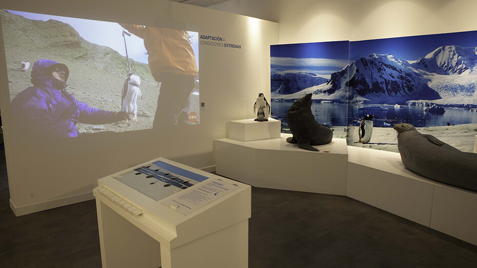 The museum in Antarctica, exhibition view. Courtesy of Casa de la Ciencia 