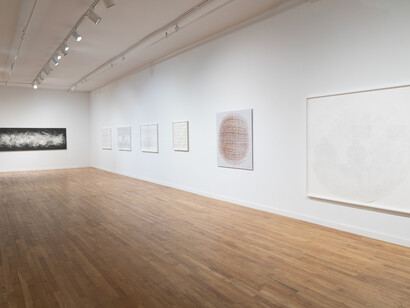 Simon Bertrand and Henry Mandell, Entanglement, exhibition view. Courtesy of Anita Rogers Gallery