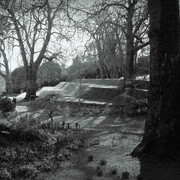 Michael Carter, The Gardens at Dartington Hall