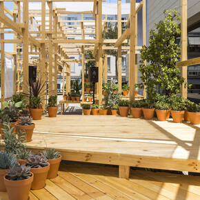 Adrián Torres Astaburuaga, Transition, 2017