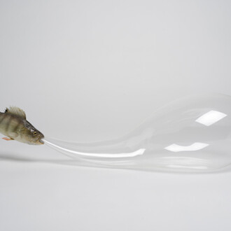 Olivier Leroi, Exhibition view. Courtesy of Galerie Patricia Dorfmann