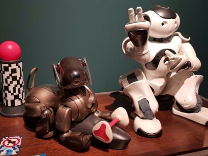 Cane robot Aibo (produzione Sony) e robot Nao. Istituto di Biorobotica Polo Sant'Anna Valdera