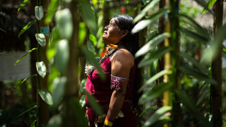 Comunidades indígenas ven amenazada su subsistencia por el arrebato y la destrucción de sus tierras ancestrales