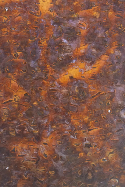 Joseph Cohen, Proposition 504 (detail). Courtesy of Friedrichs Pontone