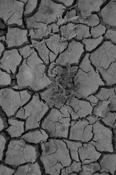 The crop production has decreased in the previously fertile lands due to climate change