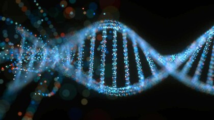 Manuela Monti è  autrice di molti articoli e saggi di divulgazione scientifica sul DNA