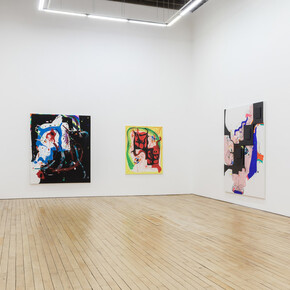 Joanne Greenbaum. Courtesy of Rachel Uffner Gallery