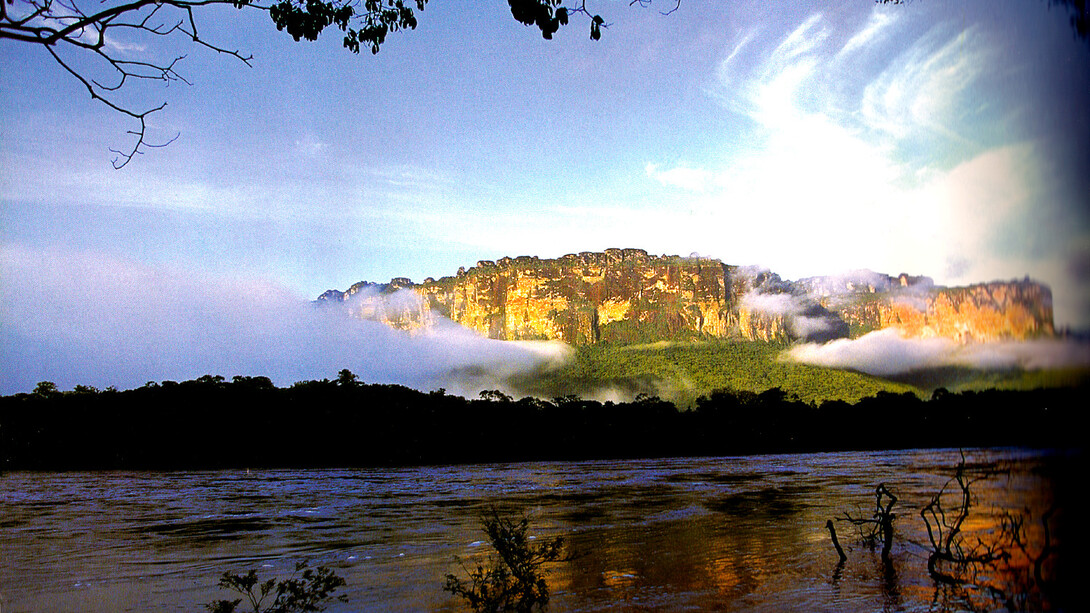 Sección del Auyantepui desde el río Carrao. Foto: Armando Michelangeli A.
