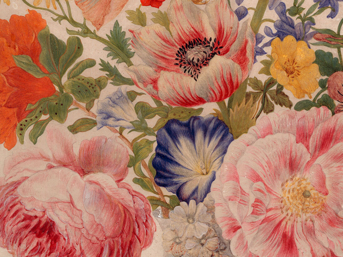 Maria Sibylla Merian. Courtesy of Kupferstichkabinett