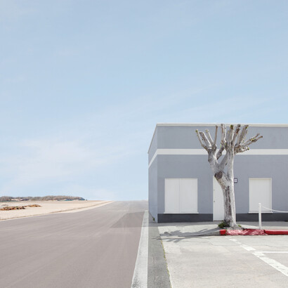 Lauren Marsolier, Building with Tree, 2010, 111,7 x 111,7 cm Ed. 1/7+1 E.A. 76,2 x 76,2 cm Ed. 2/7 +1 E.A. impression pigment sur papier archive