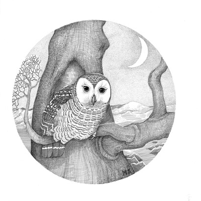 Michael Stillwater, Wildbird Owl