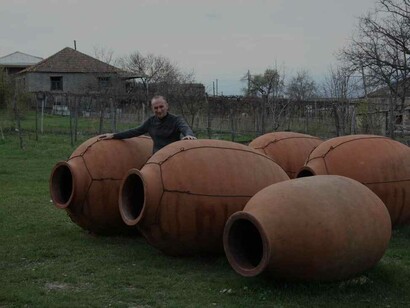 Giant Qvervis lined up being patted on the shell by a man who's anticipating a fine output of wine 