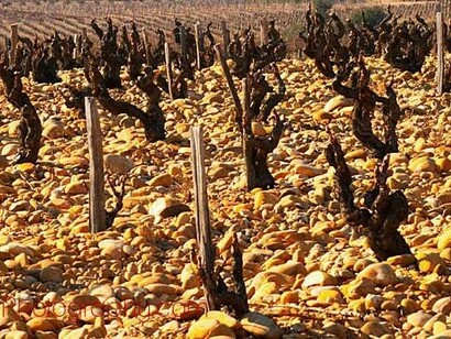 White Châteauneuf-du-Pape, France