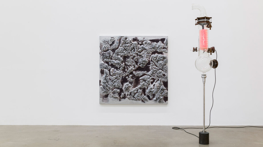 Thomas Feuerstein. Courtesy of Sexauer