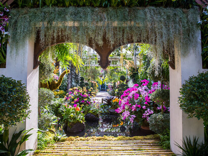 New York Botanical Garden Orchid Show