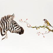 K. Imperial Fine Art