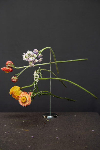 James Henkel, Floral, 2023. Courtesy of Tracey Morgan Gallery