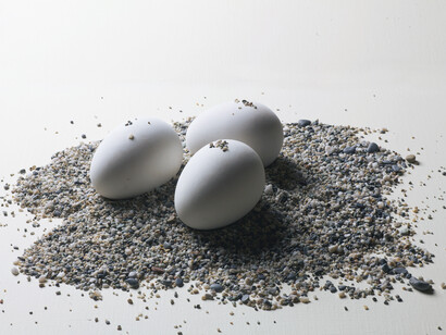 E.Scanavino. Nascenza