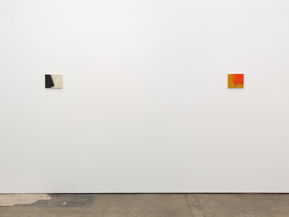 Victoria Gitman. Courtesy of François Ghebaly