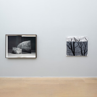 Grayscale, installation view. Courtesy of the artist/Simon Lee Gallery
