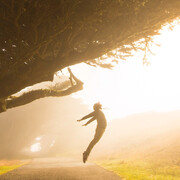 Soltitium. Courtesy of Comune di Pesaro 