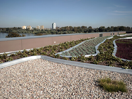 Garden on the rooftop. Courtesy of Copernicus Science Centre 