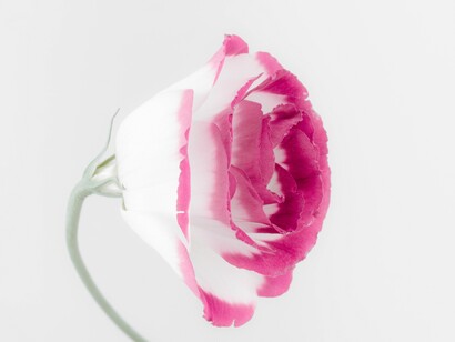 La divinidad en cada ser