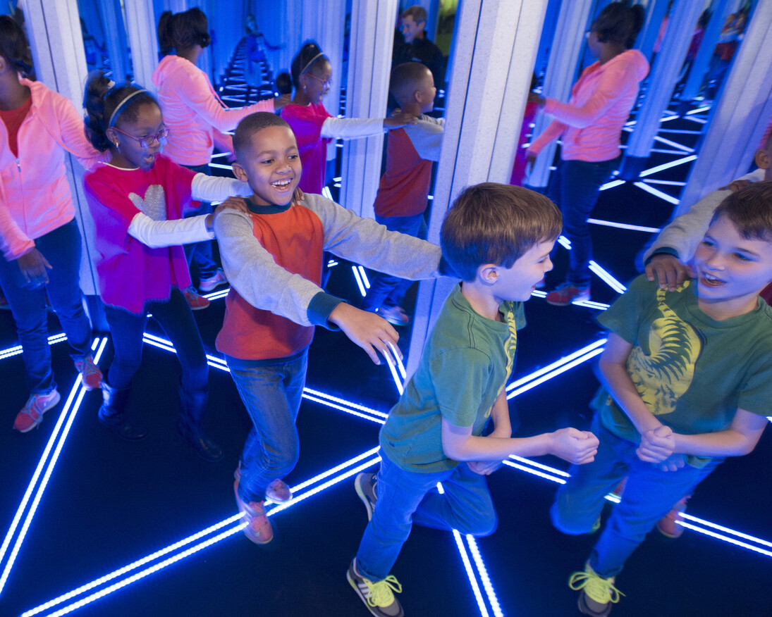 Numbers In Nature: A Mirror Maze. Courtesy of Museum of Science and Industry