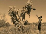 Samson Kambalu, Exhibition view. Courtesy of NSU Art Museum