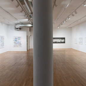 Simon Bertrand and Henry Mandell, Entanglement, exhibition view. Courtesy of Anita Rogers Gallery