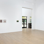 Nour Malas, Garden of prayer, exhibition view. Courtesy of Patron