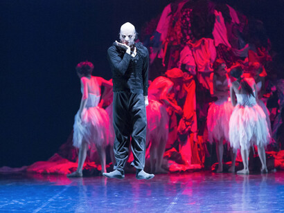 Il lago dei cigni. Foto Gabriele Orlandi