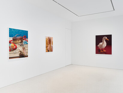 Roe Ethridge,Happy birthday Louise Parker II, exhibition view. Courtesy of Gagosian Gallery