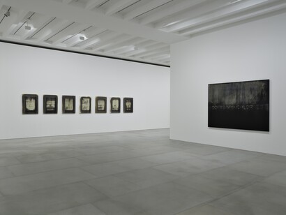 Michael Joo, Radiohalo, installation view, 2016, Courtesy the artist and BlainSouthern