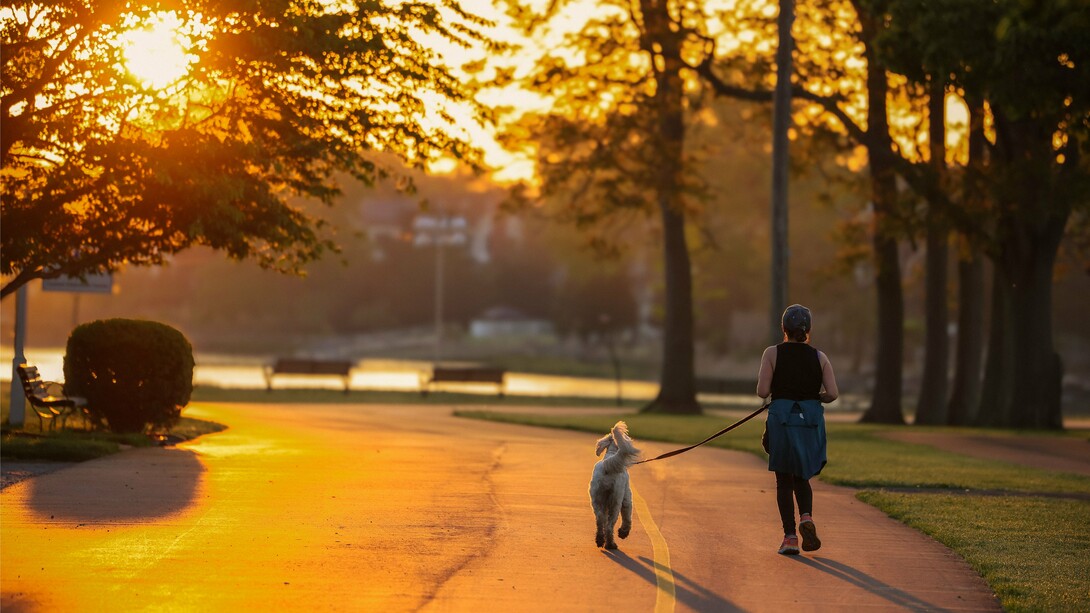 A person walking their dog in a park at sunrise, representing the heart-healthy benefits of gentle daily movement and time in nature