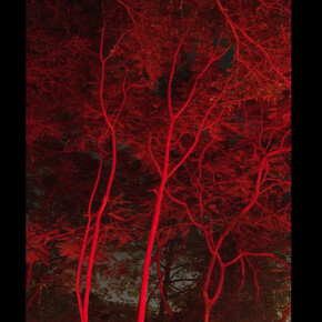 Christopher Anderson. Courtesy of Danziger Gallery