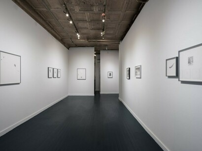 Installation View, Xavier Robles de Medina, If you dream of your tongue, beware, 2017, New York, NY. Courtesy of Catinca Tabacaru Gallery