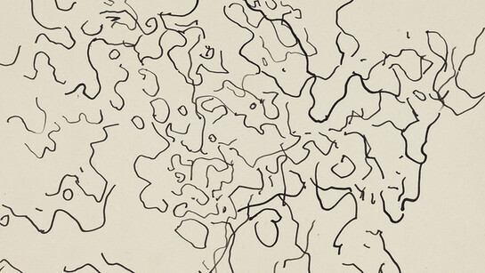 Searchign Drawing In Search of the Total Drawing | Meer