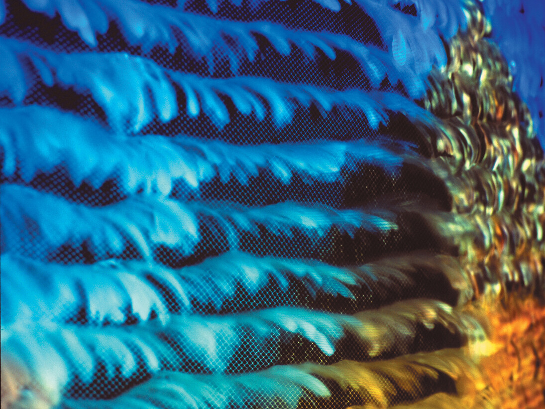 (Detail of) Mioon, Tourist Project, 2003, Video 2:17min. Feather, screens, fans, sound, image Courtesy of the Artist and Hanmi Gallery