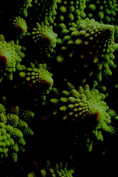 Patrones geométricos que se repiten