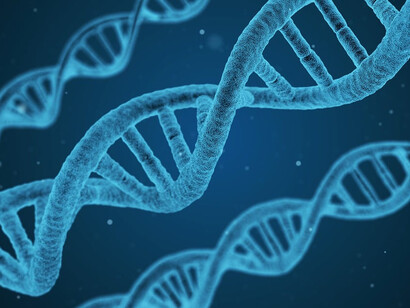 ADN. Votre vie est la résultante de programmes qui ne vous appartiennent finalement pas, vous avez la responsabilité de faire le nécessaire pour déprogrammer tout ce qui vous limite dans votre vie, ou pas