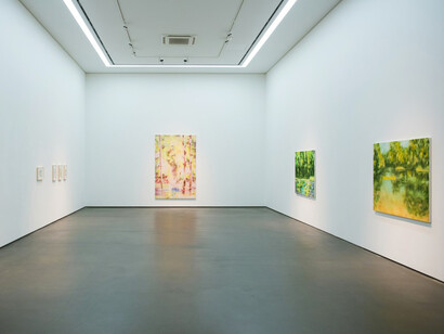 Naofumi Maruyama, Exhibition view. Courtesy of Wooson Gallery