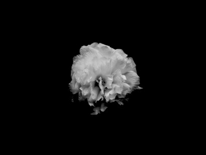 Ni nacer cuando ya está vivo